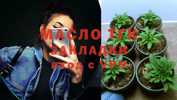индика Беломорск