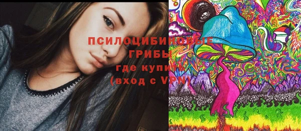 индика Беломорск