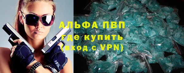 индика Беломорск