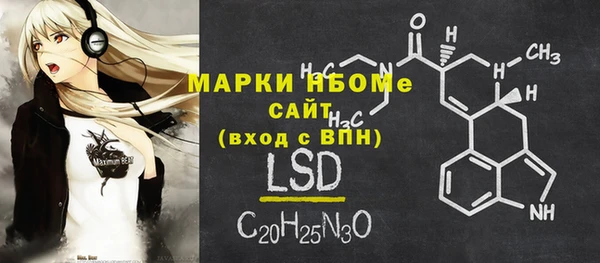 индика Беломорск