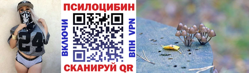 Псилоцибиновые грибы прущие грибы  купить наркоту  Гудермес 
