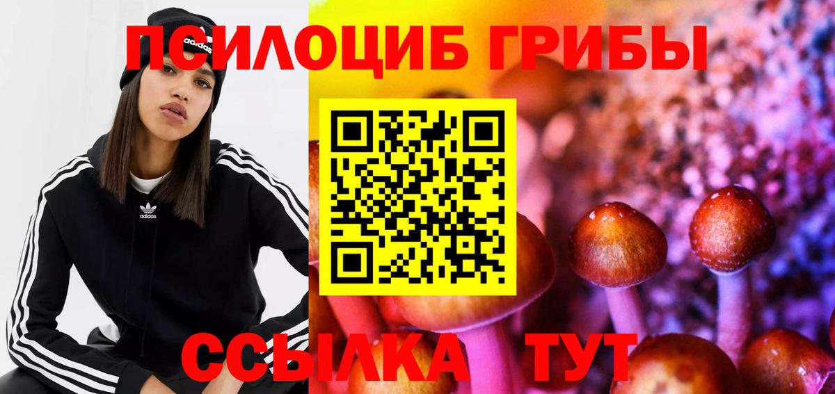 Псилоцибиновые грибы мицелий Гудермес